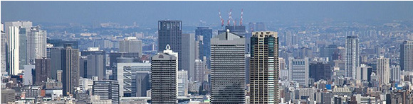 株式会社菜花野 居酒屋&日本料理の大阪市港区弁天町すぐの会社案内